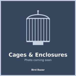 Medium Iron Bird Cage (18x24 inch)